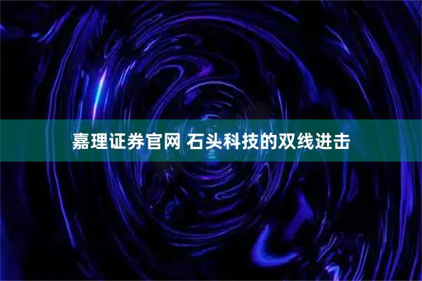 嘉理证券官网 石头科技的双线进击