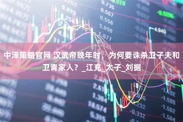 中泽策略官网 汉武帝晚年时，为何要诛杀卫子夫和卫青家人？_江充_太子_刘据