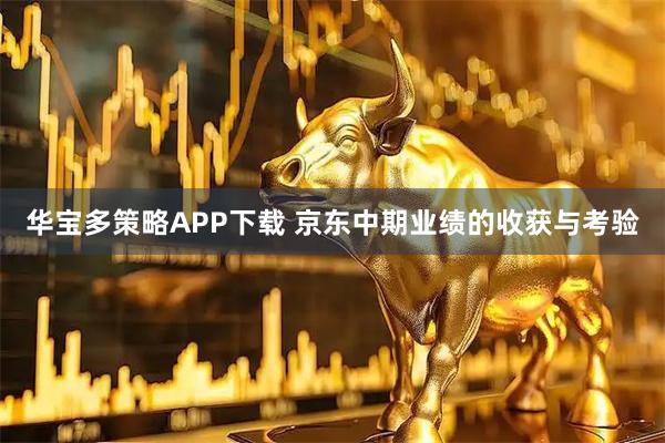 华宝多策略APP下载 京东中期业绩的收获与考验